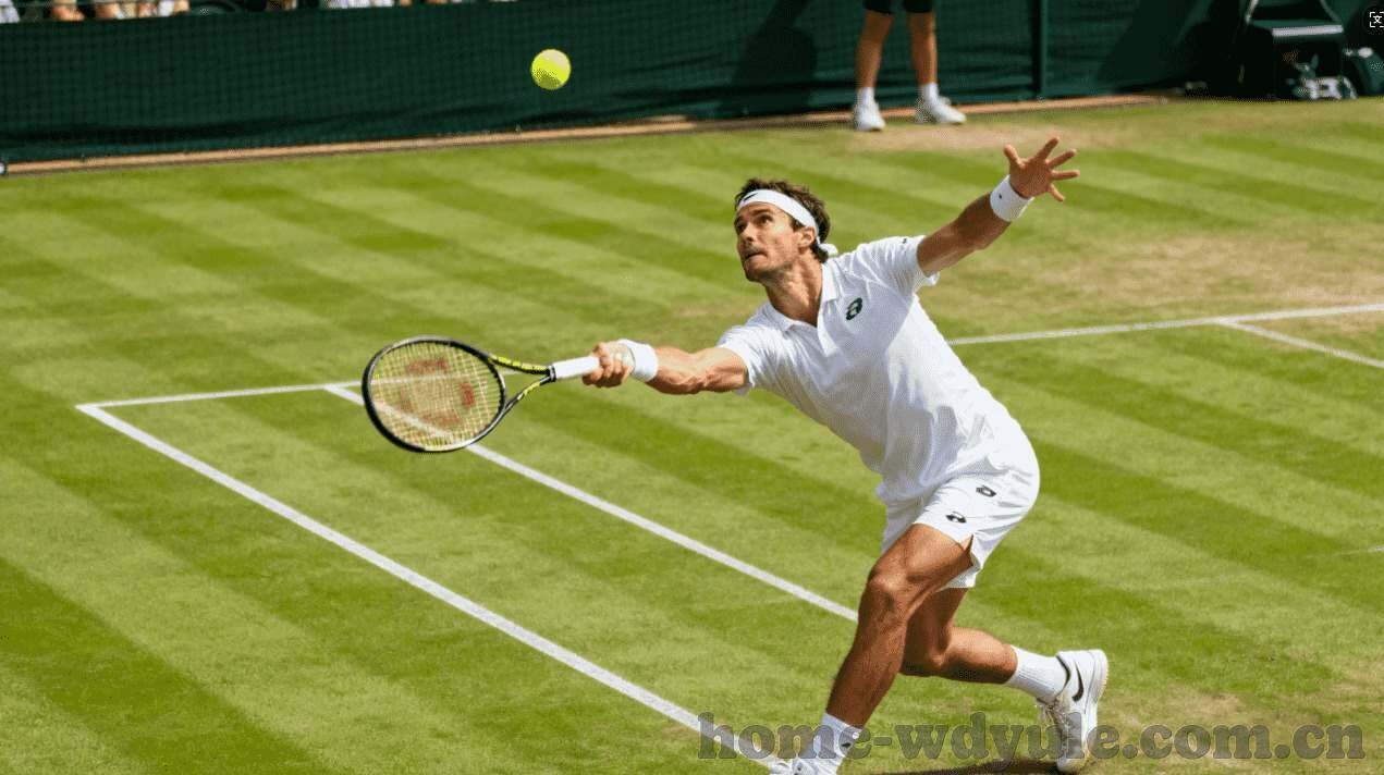 友博国际抢庄牛牛-友博国际抢庄牛牛，策略与技巧的深度剖析